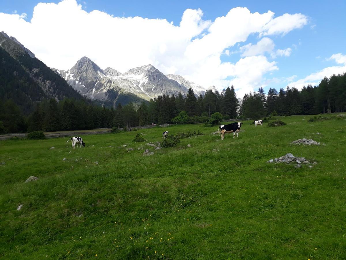 Villa Unterreinischhof Anterselva di Mezzo Exterior foto